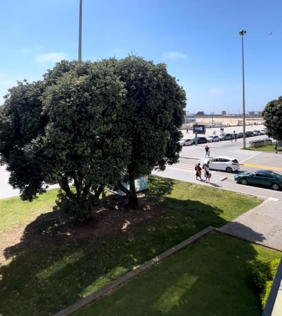 Apartamento T4 para Venda em Matosinhos e Leça da Palmeira Foto 3