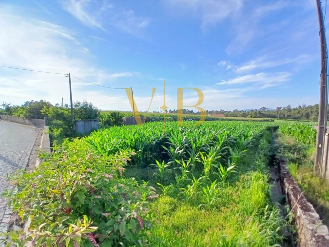 Terreno Agricola ou Rústico para Venda em Laundos Foto 2