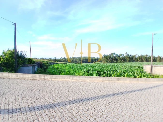 Terreno Agricola ou Rústico para Venda em Laundos