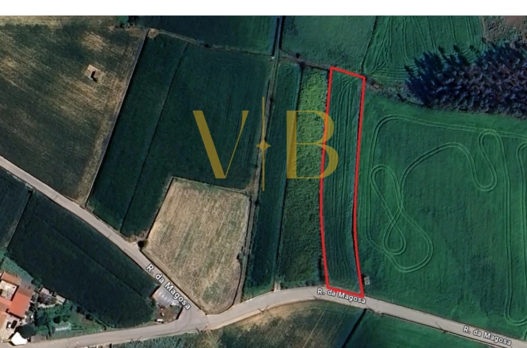 Terreno Agricola ou Rústico para Venda em Laundos Foto 3