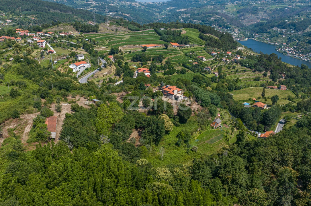 Quinta T3 para Venda em Cinfães Foto 40
