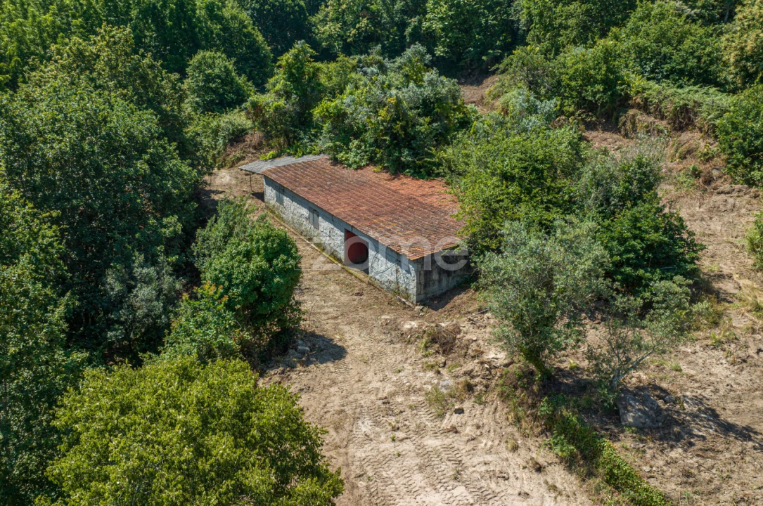 Quinta T3 para Venda em Cinfães Foto 24