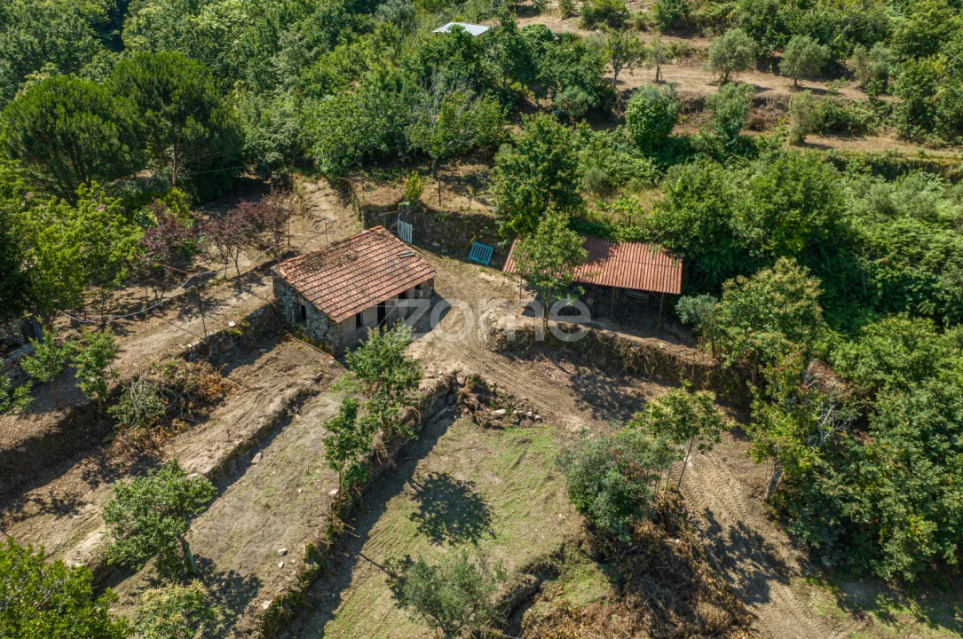 Quinta T3 para Venda em Cinfães Foto 25