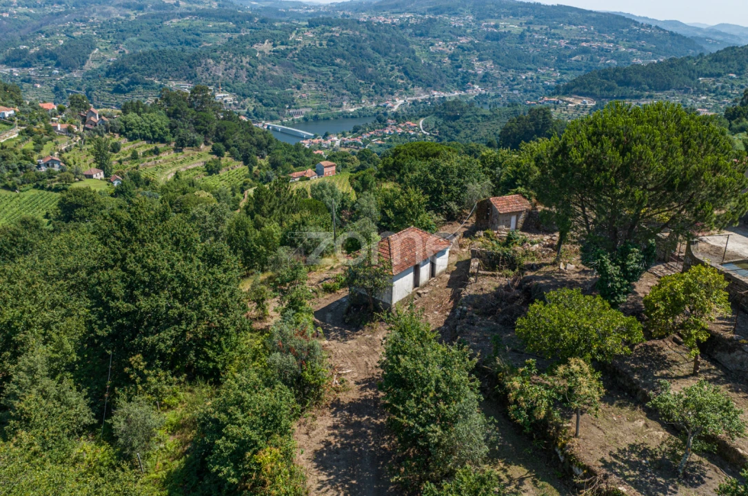 Quinta T3 para Venda em Cinfães Foto 27