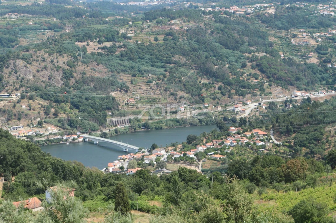 Quinta T3 para Venda em Cinfães Foto 13