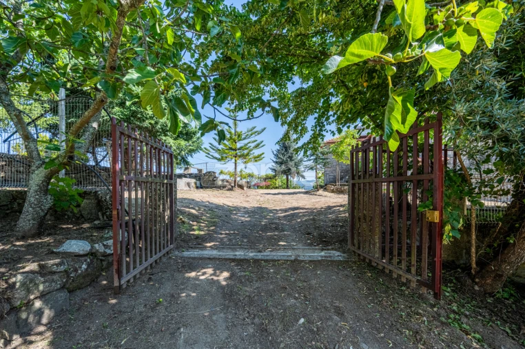 Quinta T3 para Venda em Cinfães Foto 4