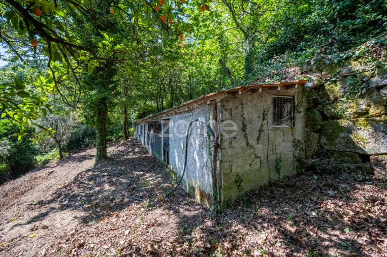 Quinta T3 para Venda em Cinfães Foto 35