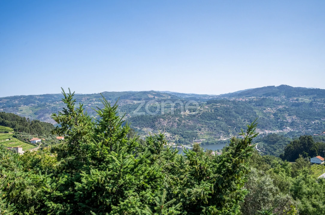 Quinta T3 para Venda em Cinfães Foto 41