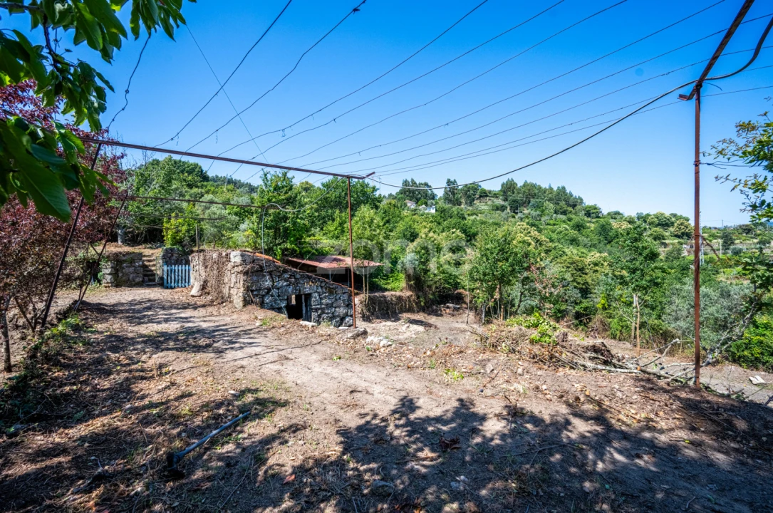 Quinta T3 para Venda em Cinfães Foto 34