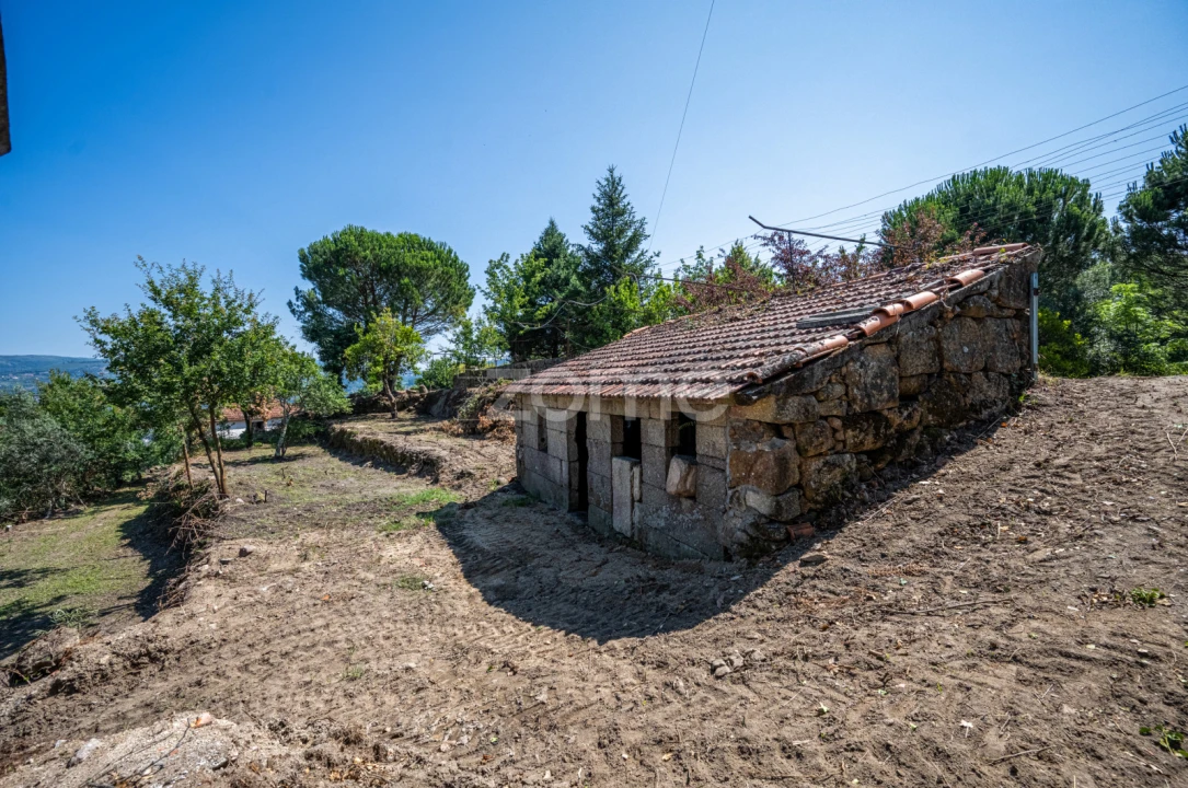 Quinta T3 para Venda em Cinfães Foto 28