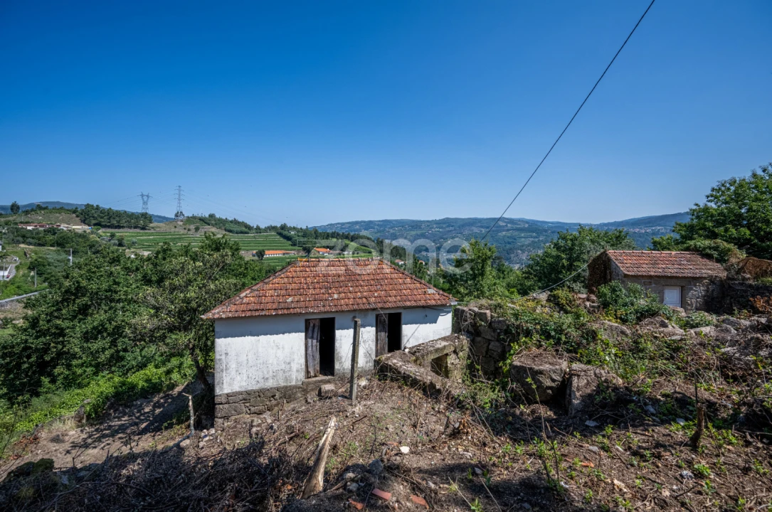 Quinta T3 para Venda em Cinfães Foto 33