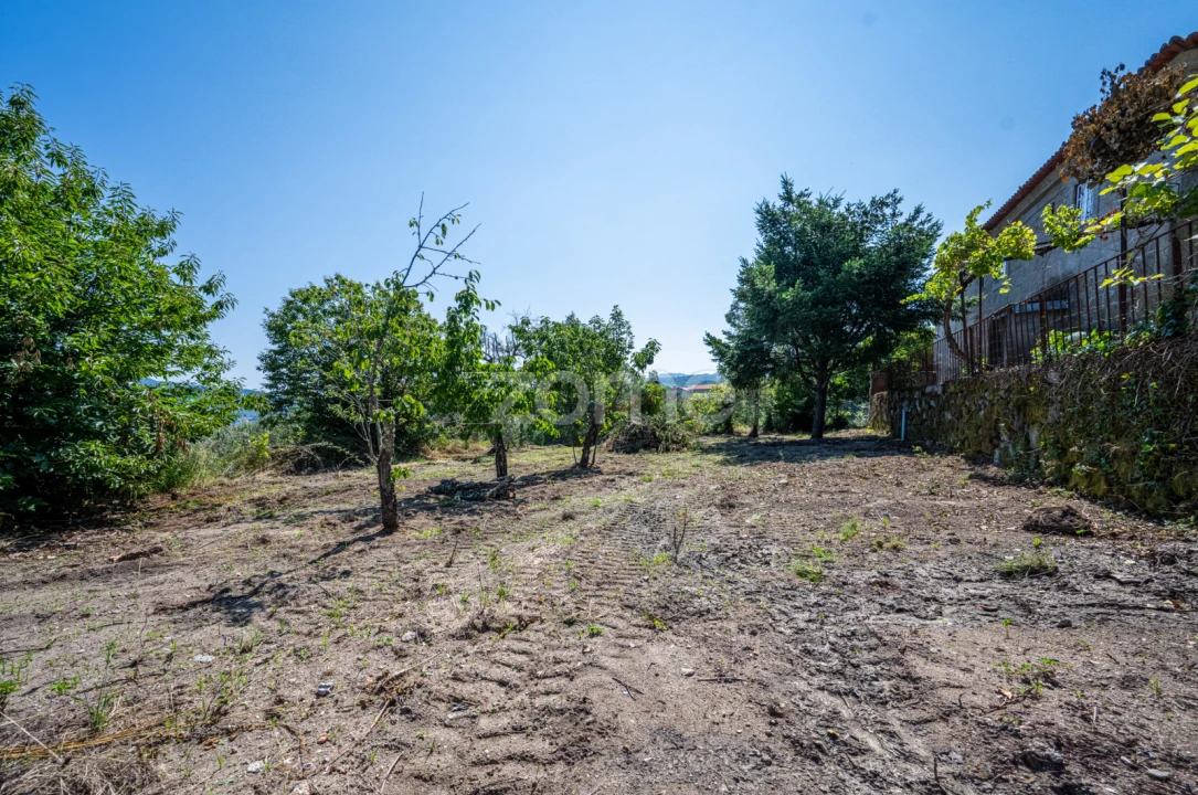 Quinta T3 para Venda em Cinfães Foto 36