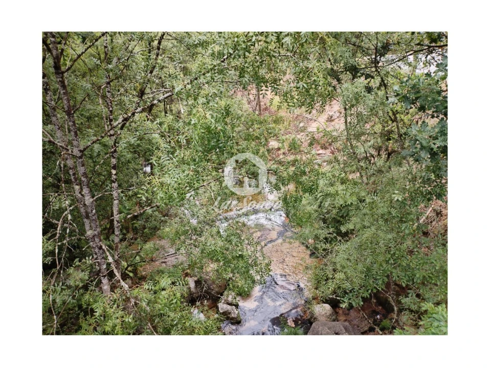 Terreno Agricola ou Rústico para Venda em Vilar da Veiga Foto 1