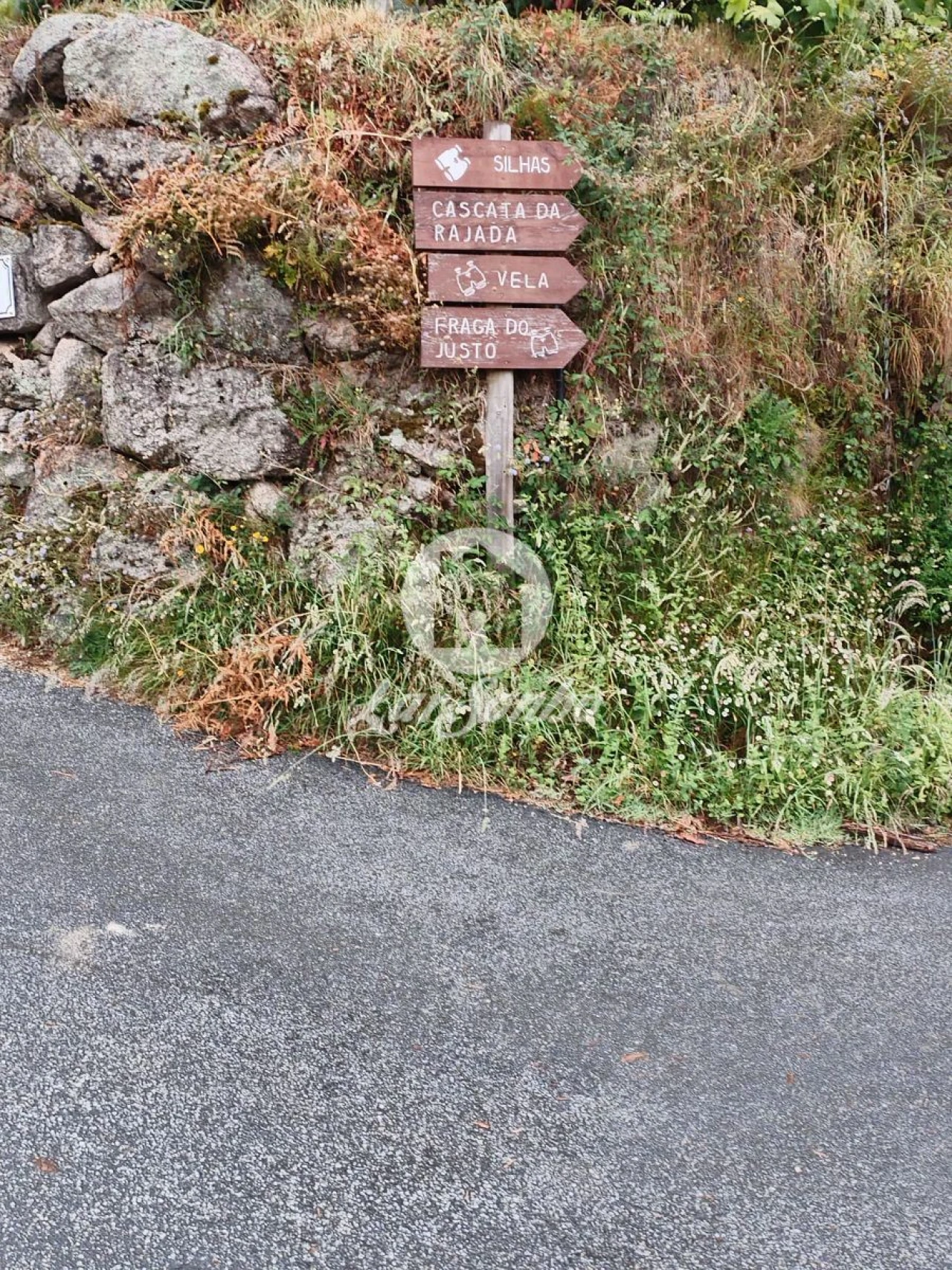Terreno Agricola ou Rústico para Venda em Vilar da Veiga Foto 3