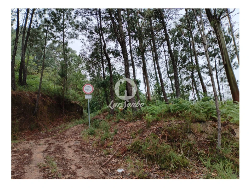 Terreno Agricola ou Rústico para Venda em Vilar da Veiga Foto 4