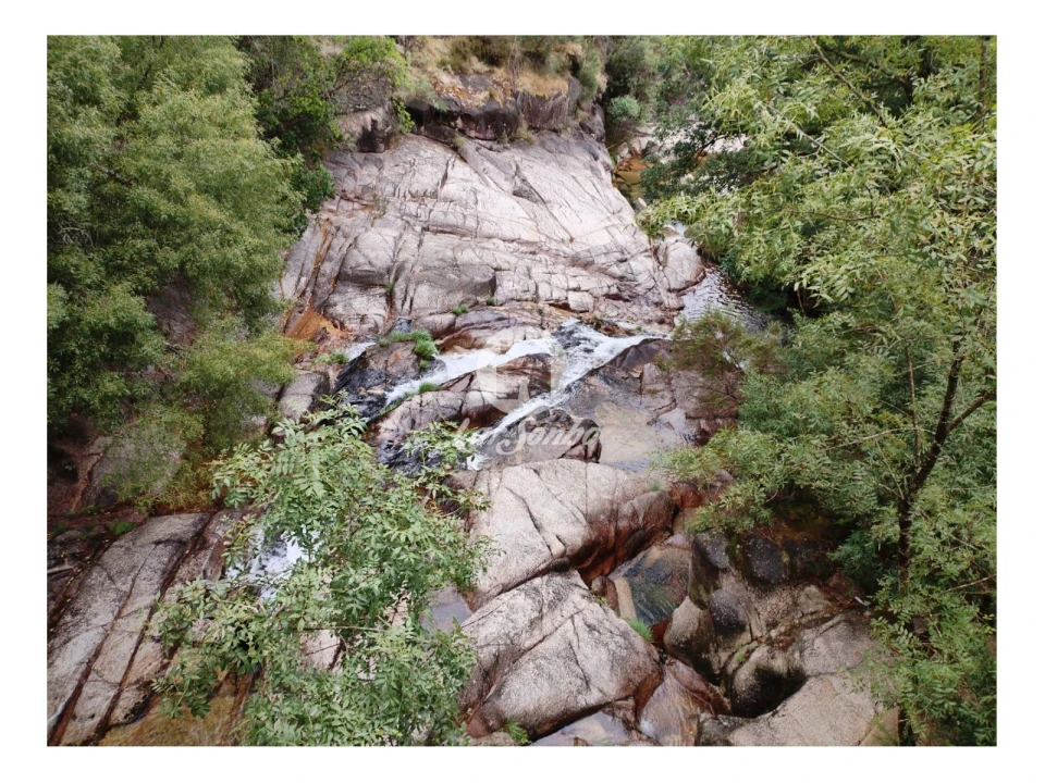 Terreno Agricola ou Rústico para Venda em Vilar da Veiga Foto 5