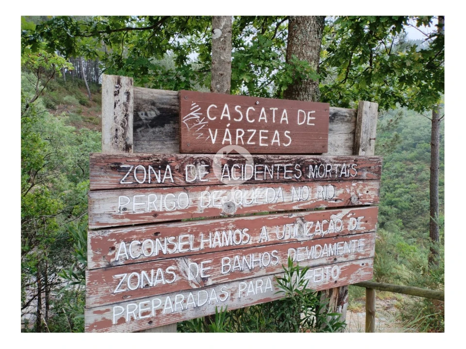 Terreno Agricola ou Rústico para Venda em Vilar da Veiga Foto 7