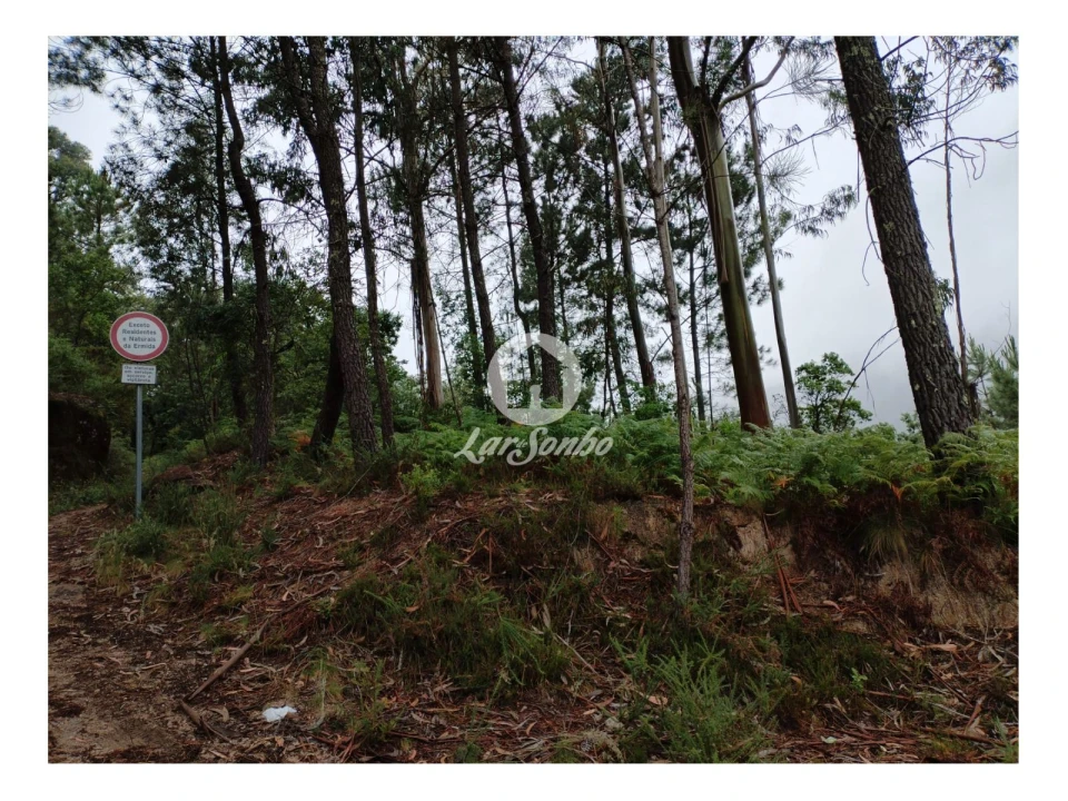 Terreno Agricola ou Rústico para Venda em Vilar da Veiga Foto 8