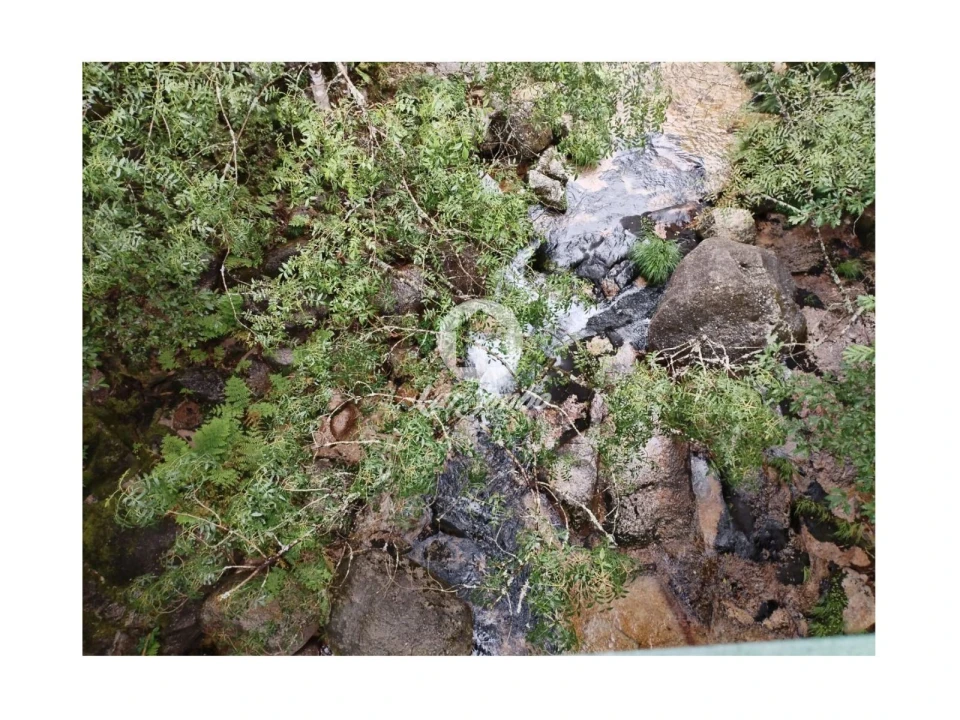 Terreno Agricola ou Rústico para Venda em Vilar da Veiga Foto 9