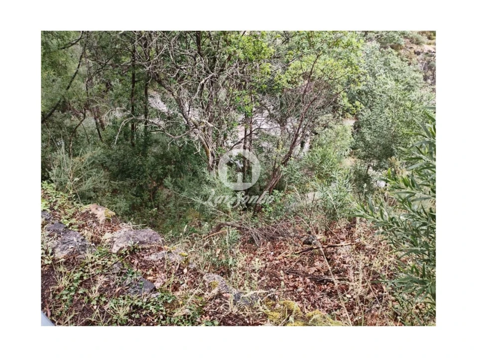 Terreno Agricola ou Rústico para Venda em Vilar da Veiga Foto 10