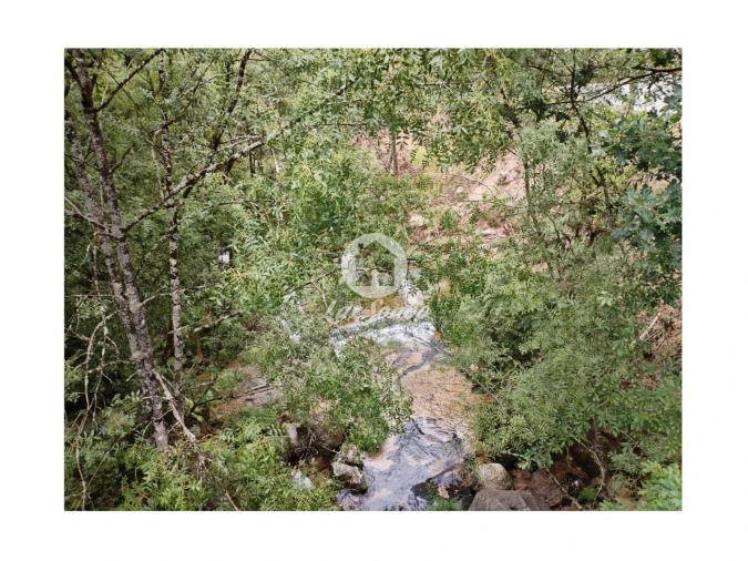 Terreno Agricola ou Rústico para Venda em Vilar da Veiga