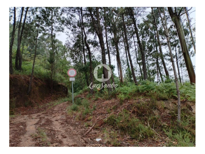 Terreno Agricola ou Rústico para Venda em Vilar da Veiga Foto 4