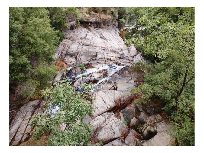 Terreno Agricola ou Rústico para Venda em Vilar da Veiga Foto 5