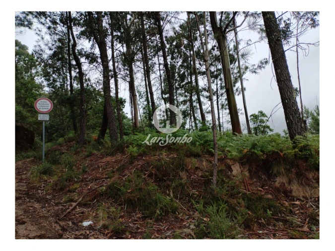 Terreno Agricola ou Rústico para Venda em Vilar da Veiga Foto 8