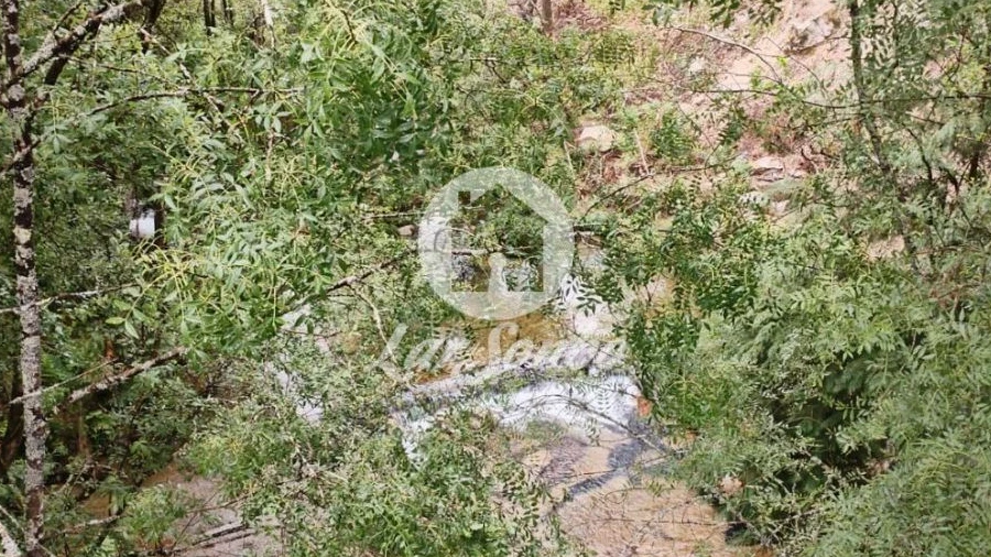 Terreno Agricola ou Rústico para Venda em Vilar da Veiga