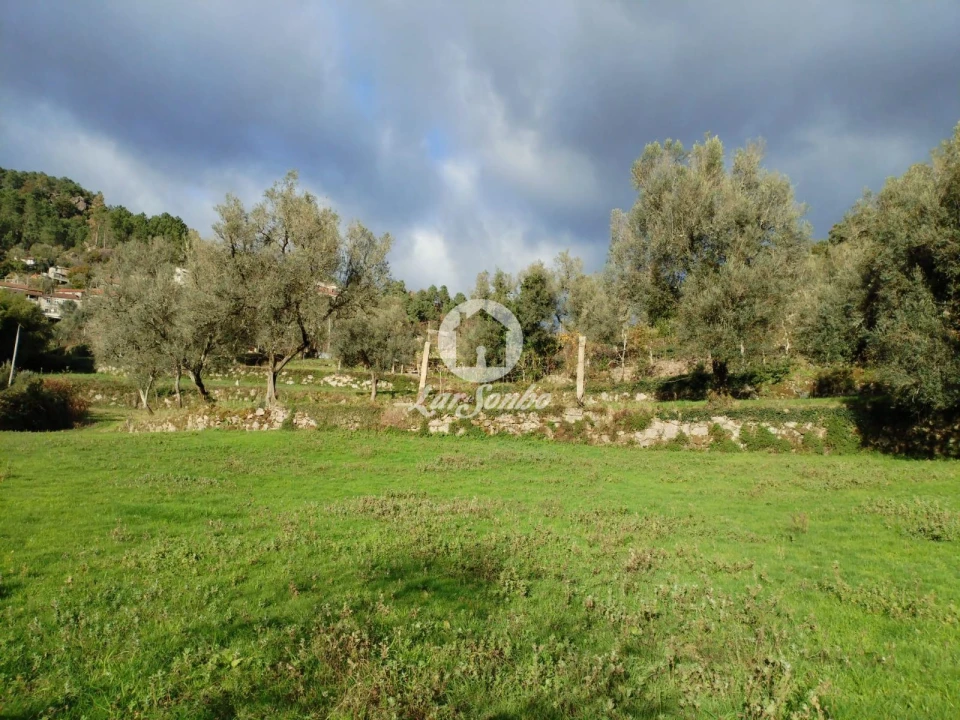 Terreno Agricola ou Rústico para Venda em Vilar da Veiga Foto 2