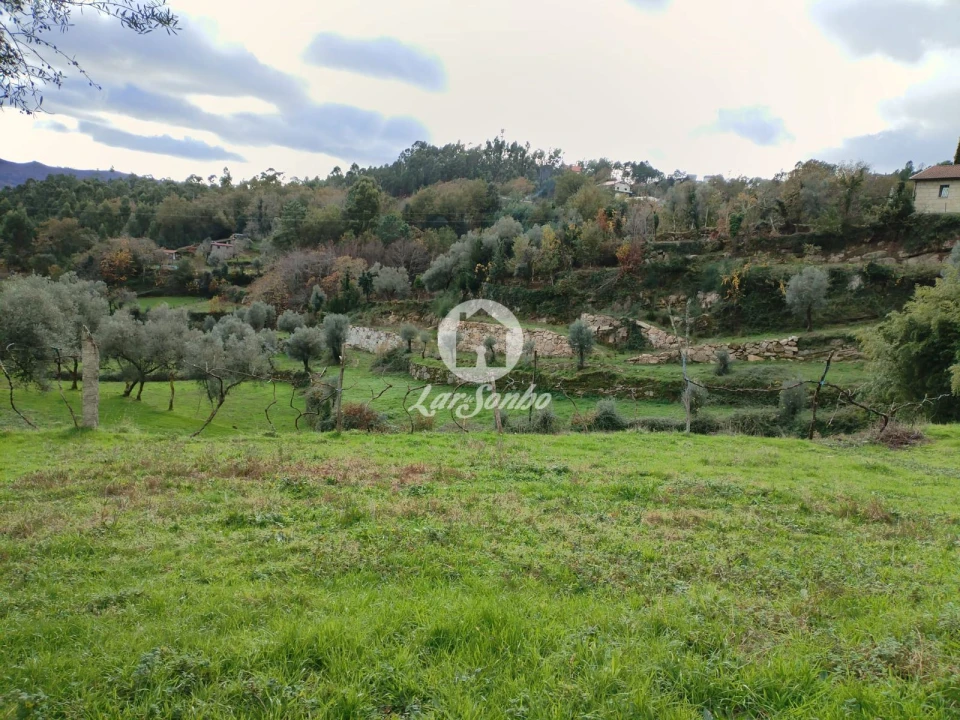 Terreno Agricola ou Rústico para Venda em Vilar da Veiga Foto 4