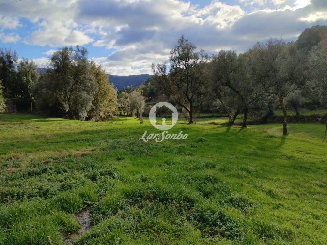 Terreno Agricola ou Rústico para Venda em Vilar da Veiga Foto 3