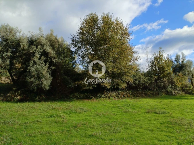 Terreno Agricola ou Rústico para Venda em Vilar da Veiga