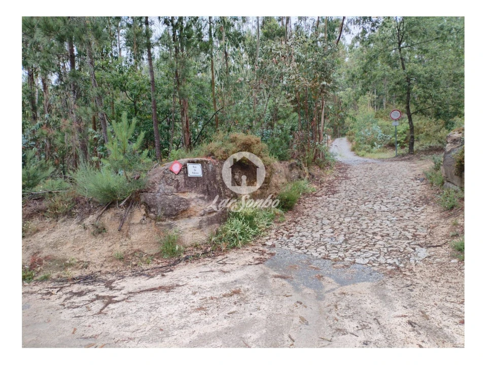 Terreno Agricola ou Rústico para Venda em Vilar da Veiga Foto 3