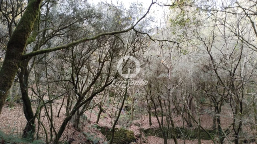 Terreno Agricola ou Rústico para Venda em Vilar da Veiga