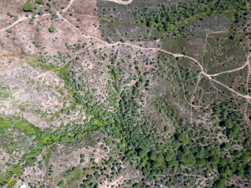 Terreno para Venda em Santiago do Cacém, Santa Cruz e São Bartolomeu da Serra