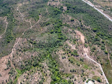 Terreno para Venda em Santiago do Cacém, Santa Cruz e São Bartolomeu da Serra