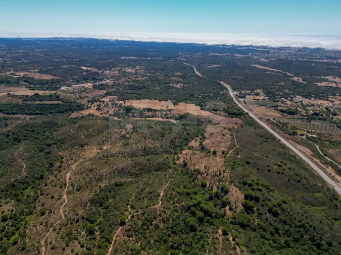 Terreno para Venda em Santiago do Cacém, Santa Cruz e São Bartolomeu da Serra Foto 11