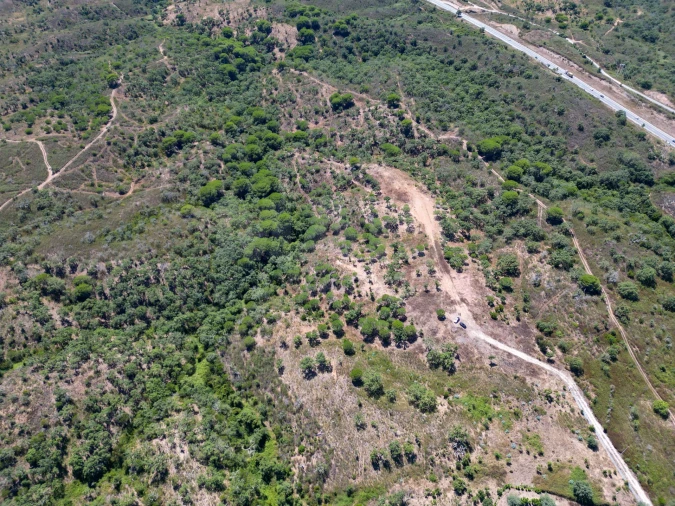 Terreno para Venda em Santiago do Cacém, Santa Cruz e São Bartolomeu da Serra Foto 4