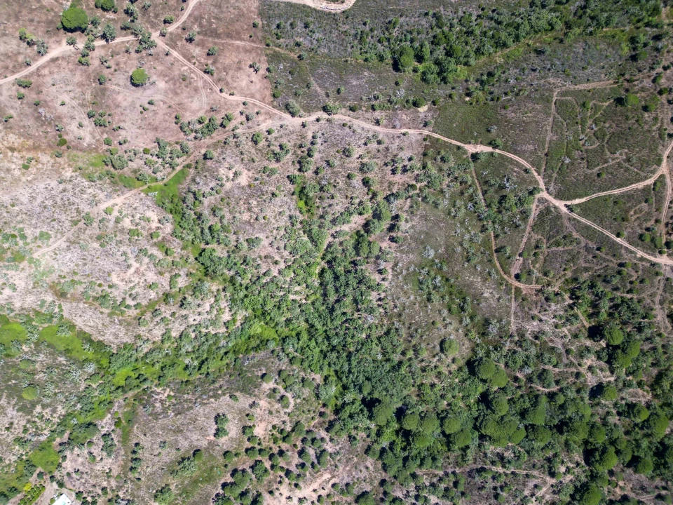 Terreno para Venda em Santiago do Cacém, Santa Cruz e São Bartolomeu da Serra Foto 9