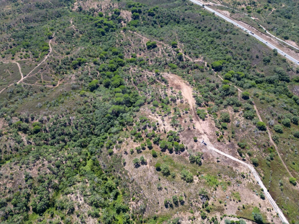 Terreno para Venda em Santiago do Cacém, Santa Cruz e São Bartolomeu da Serra Foto 4