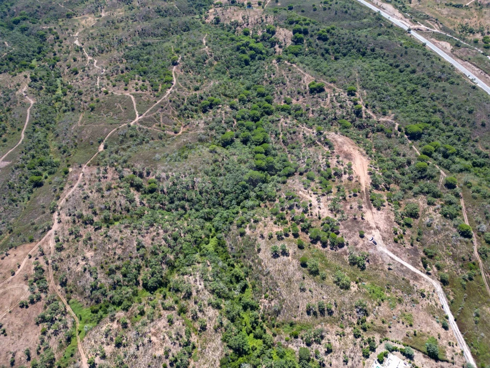 Terreno para Venda em Santiago do Cacém, Santa Cruz e São Bartolomeu da Serra Foto 6