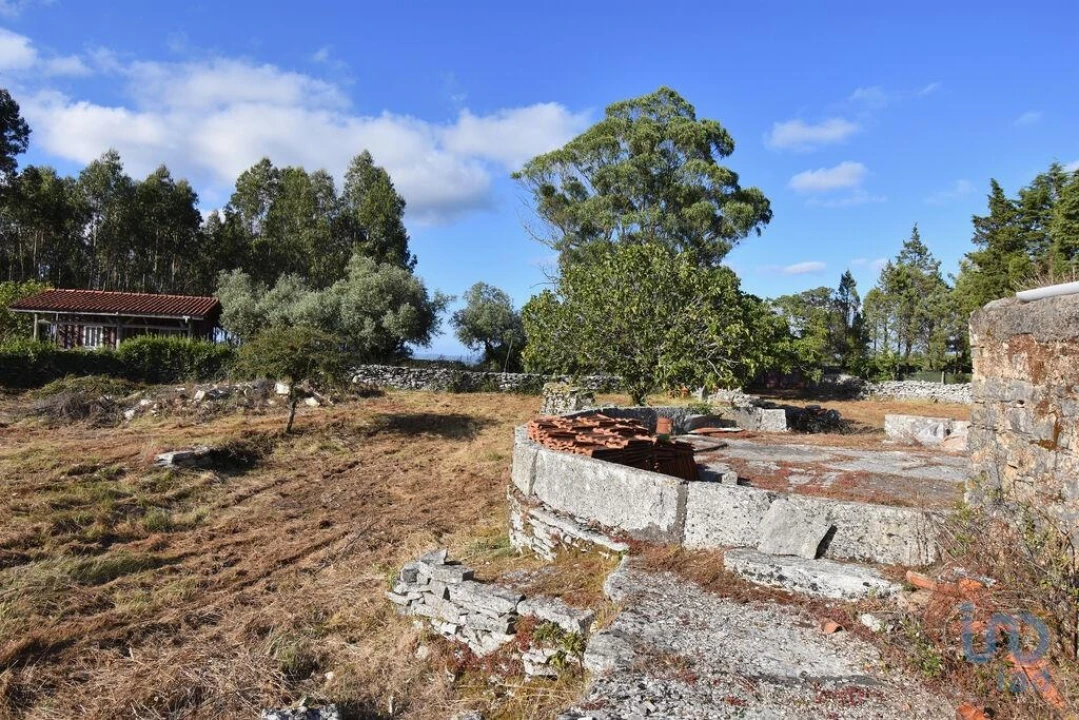 Terreno para Venda em Condeixa-A-Velha e Condeixa-A-Nova Foto 8