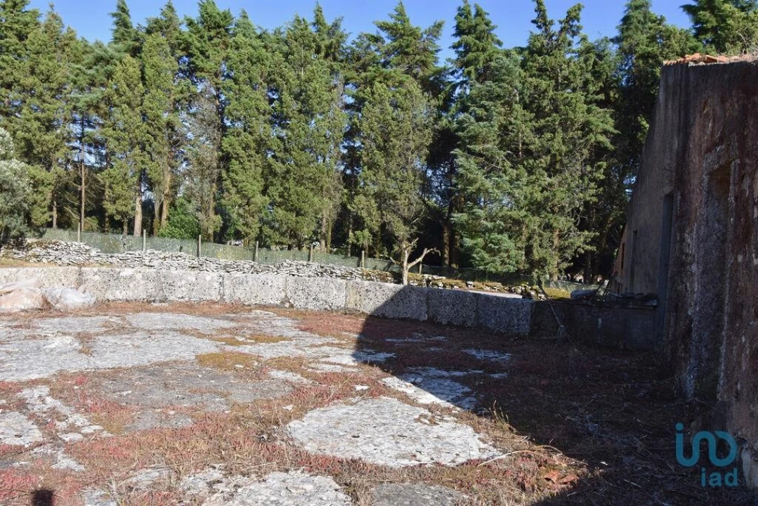Terreno para Venda em Condeixa-A-Velha e Condeixa-A-Nova Foto 11