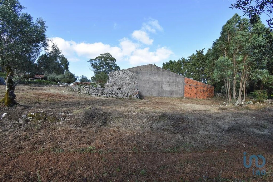 Terreno para Venda em Condeixa-A-Velha e Condeixa-A-Nova Foto 4