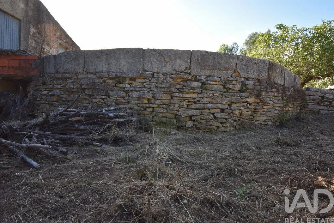 Terreno para Venda em Condeixa-A-Velha e Condeixa-A-Nova Foto 17