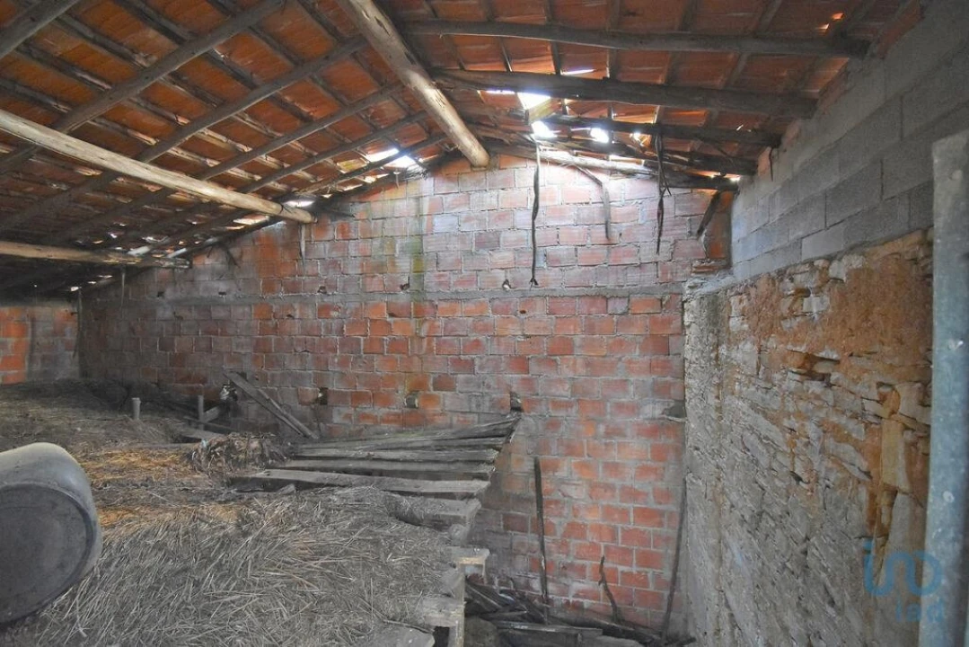 Terreno para Venda em Condeixa-A-Velha e Condeixa-A-Nova Foto 15