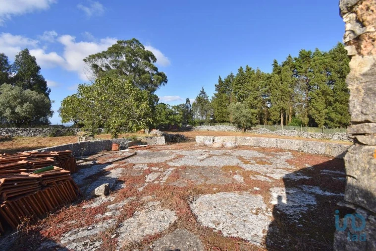 Terreno para Venda em Condeixa-A-Velha e Condeixa-A-Nova Foto 14