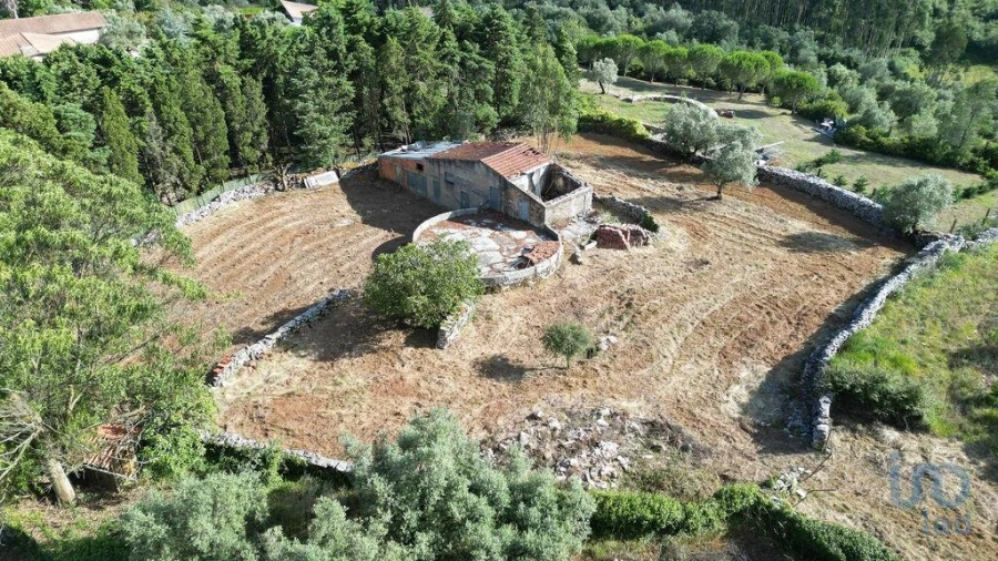 Terreno para Venda em Condeixa-A-Velha e Condeixa-A-Nova Foto 1
