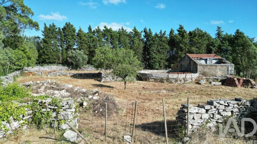 Terreno para Venda em Condeixa-A-Velha e Condeixa-A-Nova Foto 21